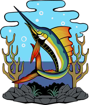 marlin fish illustration vector