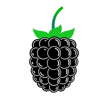 Shiny blackberry. Flat color illustration isolated on white. vector