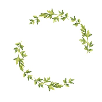 Parsley plant wreath. Hand drawn botanical watercolor herb illustration isolated on white background. Can be used for cards, logos and food design. Vintage stile. vector