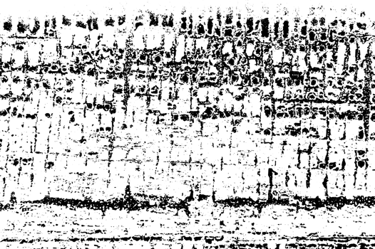 Rustic grunge texture with grain and stains. Abstract noise background. Graphic illustration with transparent background. png