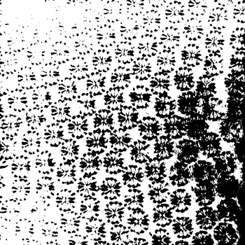 Rustic grunge texture with grain and stains. Abstract noise background. Graphic illustration with transparent background. png