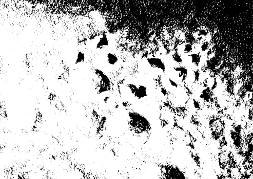 Rustic grunge texture with grain and stains. Abstract noise background. Graphic illustration with transparent background. png