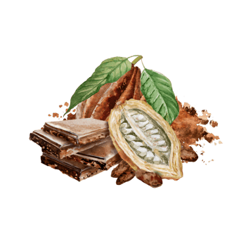 Watercolor illustration of chocolate, cocoa ingredients with cocoa beans, fresh cocoa pods and cocoa mass. png