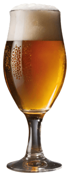 Glass of fresh beer png