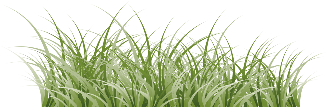grass clipart transparent background png