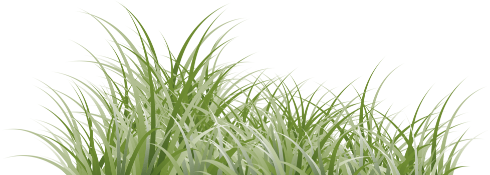 grass clipart transparent background png