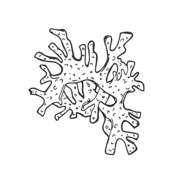 isolated simple contour coral template. Colorless black line coral branch outline doodle sketch. vector