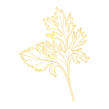 Golden Silhouette Abstract Leaf Outlines png