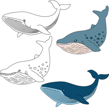 Whale Clipart. Aquatic Animal Clipart for Lovers of Underwater Sea Animals, Marine Life, and Sea Life vector