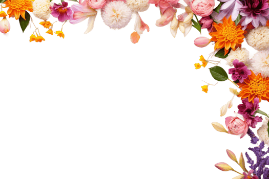 Flowers copy space on transparent background. png