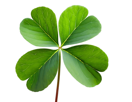 Four leaf clover png