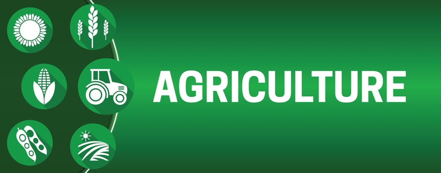 Agriculture Illustration Background vector