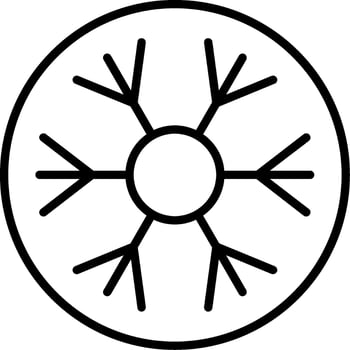 Snowflake Line Icon vector