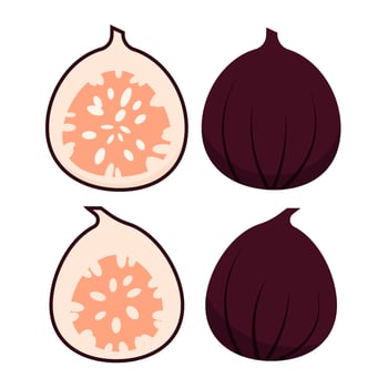 Set of cut and whole figs vector
