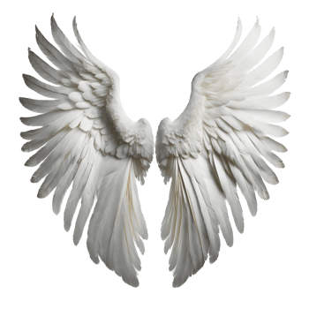 Realistic angel wings png