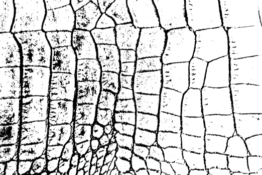 Rustic grunge texture with grain and stains. Abstract noise background. Graphic illustration with transparent background. png
