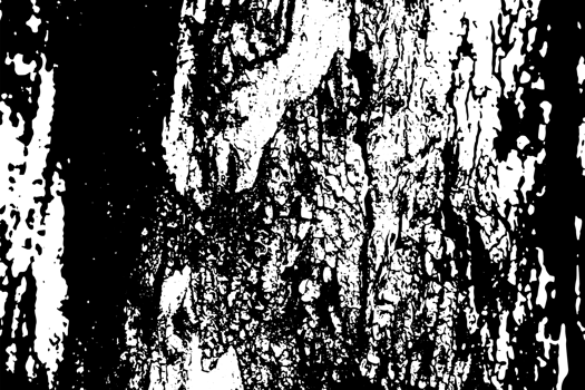 Rustic grunge texture with grain and stains. Abstract noise background. Graphic illustration with transparent background. png