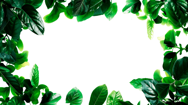 Green leaves wide border with copy space png