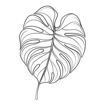exotic single leaf drawn single black line png