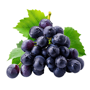 Grape fruits on isolated transparent background png