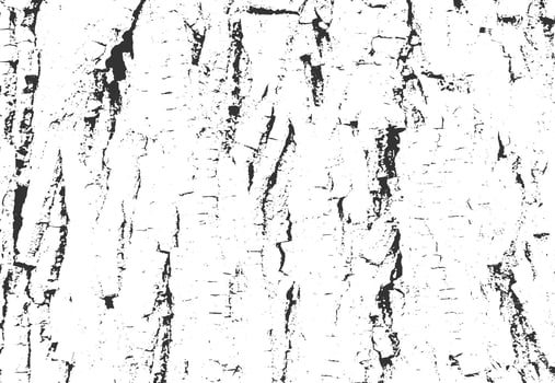 wooden grunge texture overlay background vector