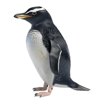 3D Rendering of a Penguin on Transparent Background png