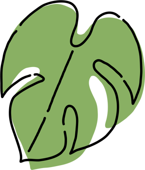 Simplicity monstera leaf freehand drawing flat design. png