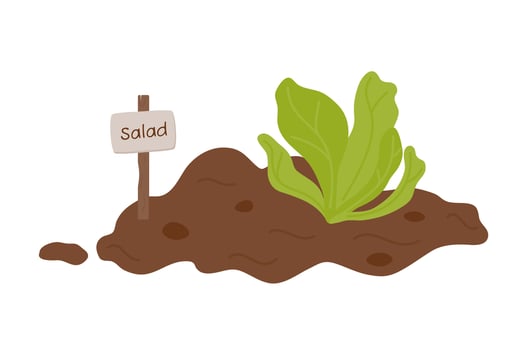 Seedlings. Growing plants. Lettuce grows out of the ground. Planting plants. vector