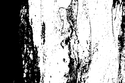 Rustic grunge texture with grain and stains. Abstract noise background. Graphic illustration with transparent background. png