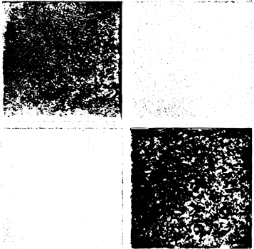 Rustic grunge texture with grain and stains. Abstract noise background. Graphic illustration with transparent background. png