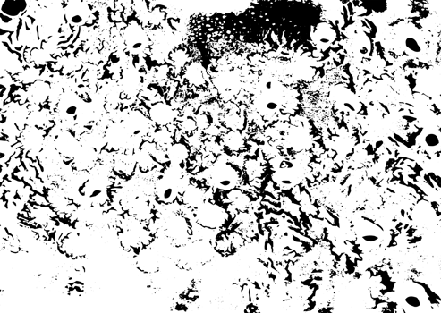 Rustic grunge texture with grain and stains. Abstract noise background. Graphic illustration with transparent background. png