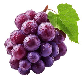 fresh grape transparent photo png