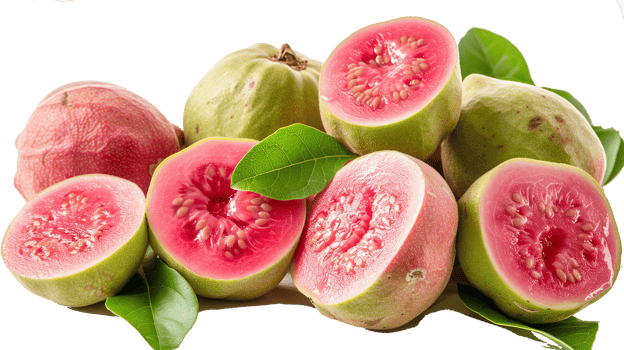 fresh guavas transparent photo png