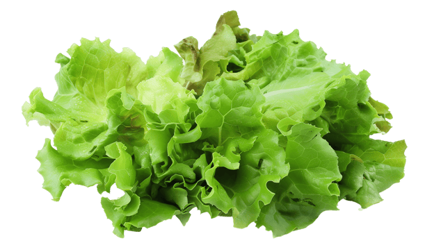 Lettuce Freshness on Transparent Background png