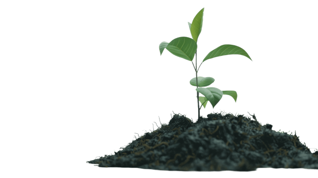 Young green plant in soil isolated on the transparent background, Format png