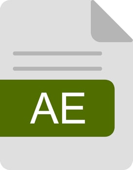 AE File Format Flat Icon vector