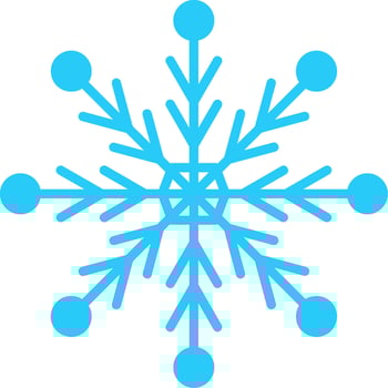 Snowflake Flat Icon vector