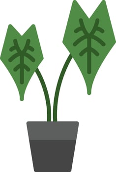 Alocasia Flat Icon vector
