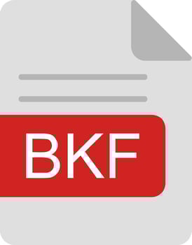BKF File Format Flat Icon vector