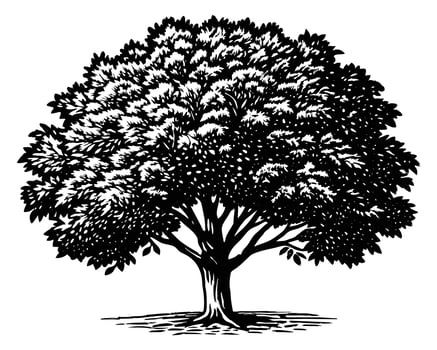 Tree Illustration Drawing vector