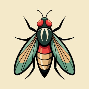 Fly Illustration art, a simple fly illustration vector