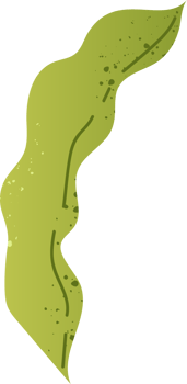 Edamame beans for healthy food png