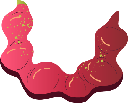 Pithecellobium dulce organic healthy beans png
