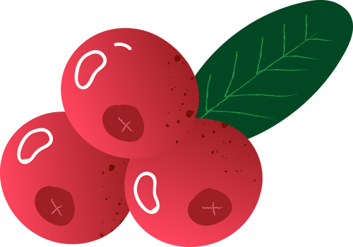 Whole berries cranberry fresh organic png
