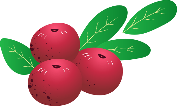 Whole berries lingonberry fresh organic png