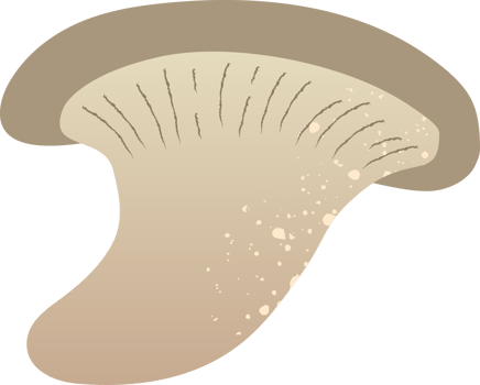 Mushrooms oyster fresh organic food png