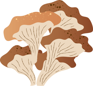 Mushrooms oyster fresh organic food png