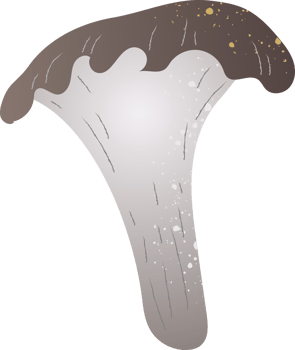 Mushrooms kurotake fresh organic food png