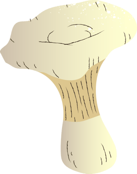 Mushrooms milk mushroom organic food png