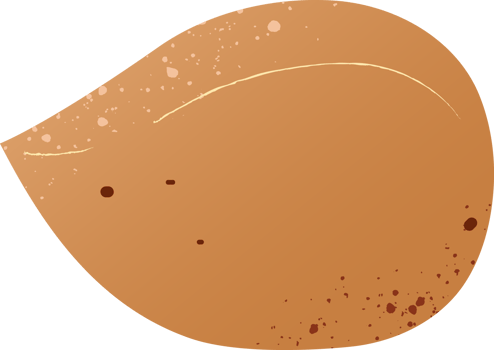Whole almond fresh organic nut png